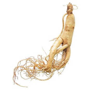 منشیات کی Erogan تشکیل